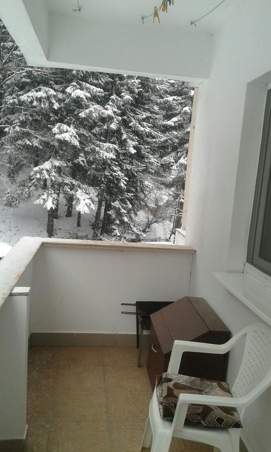 Apartament Nemira Slănic-Moldova Extérieur photo